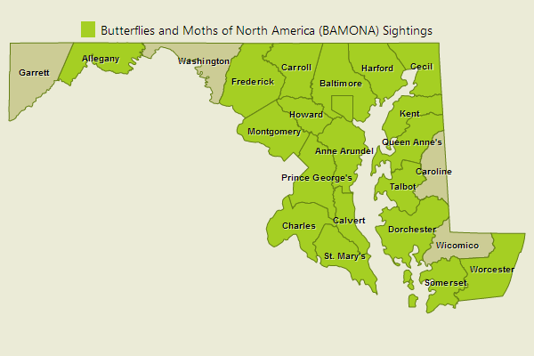 Clouded Skipper Sightings